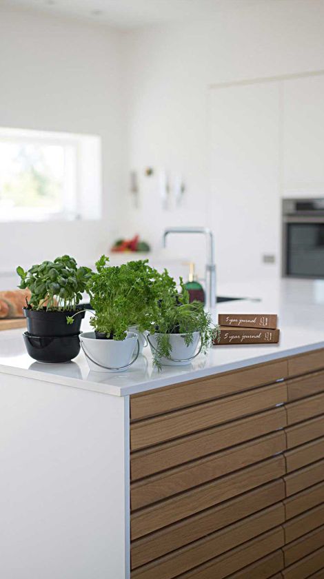 5 year journal on kitchen bench